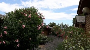 Garden - Les Hauts de Baldy (Agde)