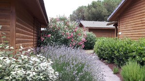 Una cabaña de madera con techo de tejas, rodeada por un jardín con lavanda y otros arbustos.