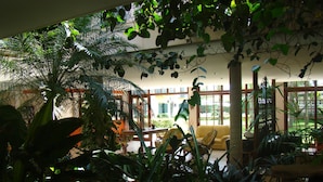 An indoor garden with various plants and a yellow sofa. - Pousada Villa Harmonia (Paraty)