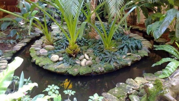 A tropical indoor garden with a central pond surrounded by rocks and various plants. - Pousada Villa Harmonia (Paraty)