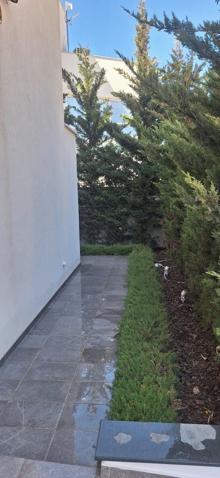 A narrow paved pathway flanked by a white wall and a row of evergreen shrubs.