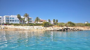 A coastal hotel with a rocky shoreline, clear blue water, and palm trees. - Sunrise Seaview Villas (Paralimni)