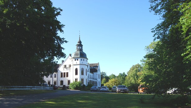 Un grand bâtiment blanc, doté d’une tour imposante et d’un dôme, entouré d’arbres verdoyants et de voitures garées.