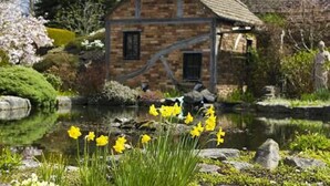 Lake - Springfield Country Hotel (Wareham)