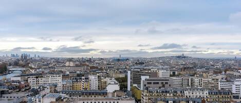 A cityscape with dense urban buildings, a river, and a distant cathedral.