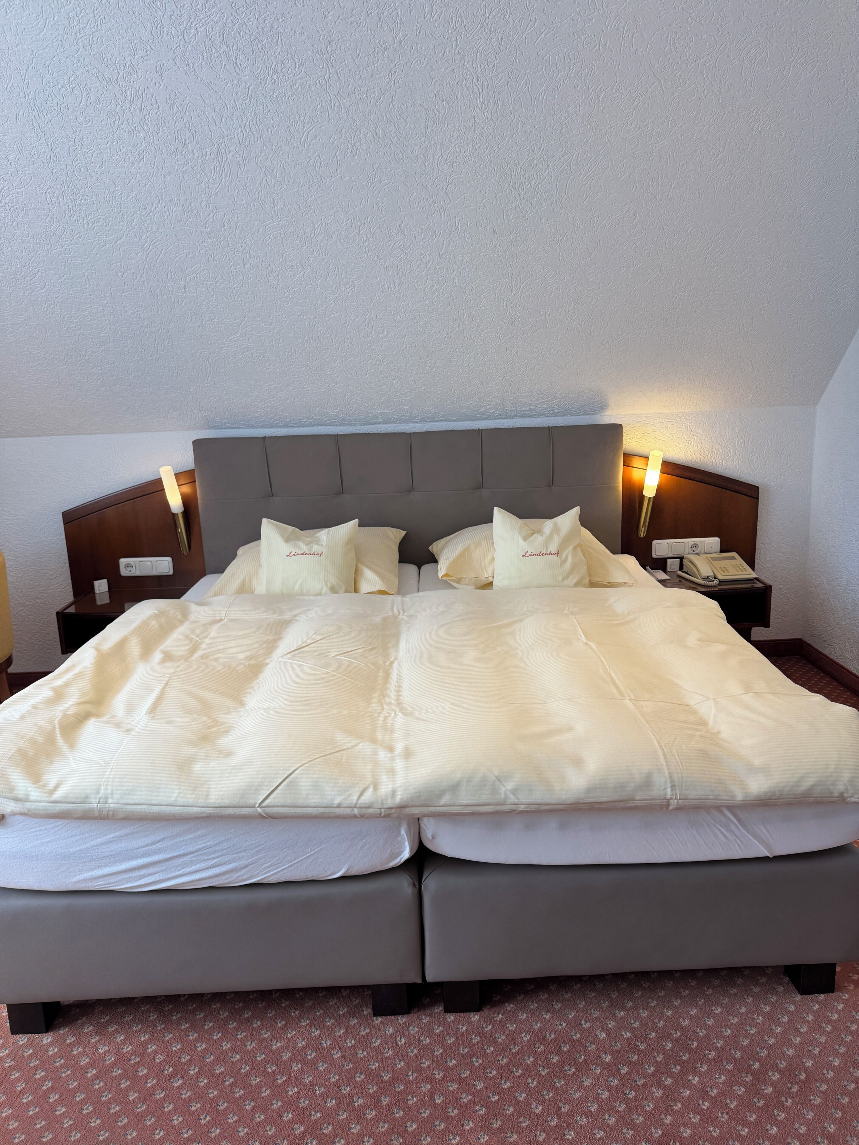 Deluxe Double Room | Premium bedding, down comforters, minibar, desk