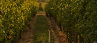 Eurostrand Resort Moseltal