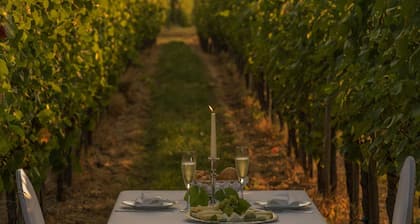 Eurostrand Resort Moseltal