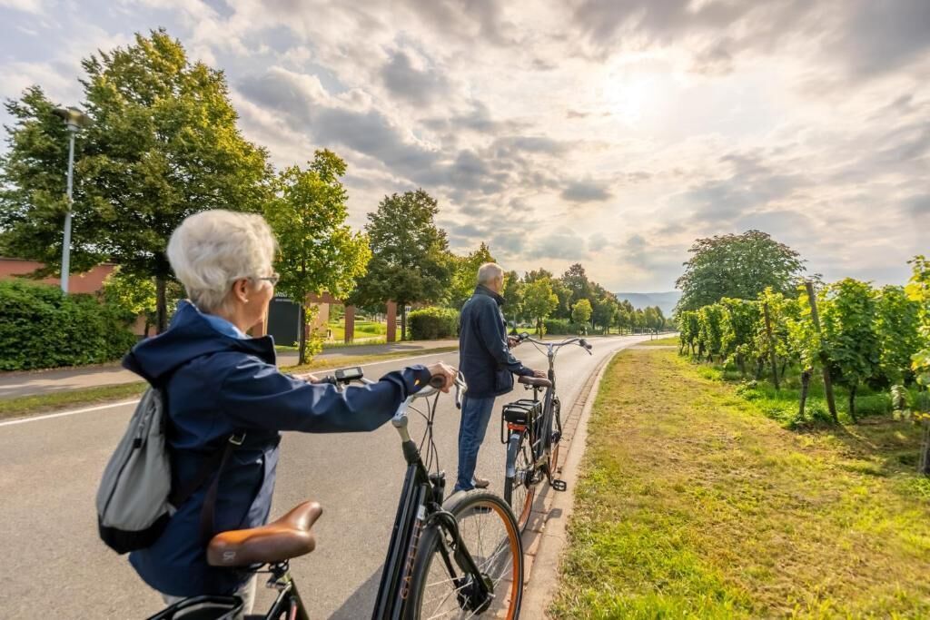 Two people on bicycles on a paved path with trees and a vineyard on one side.