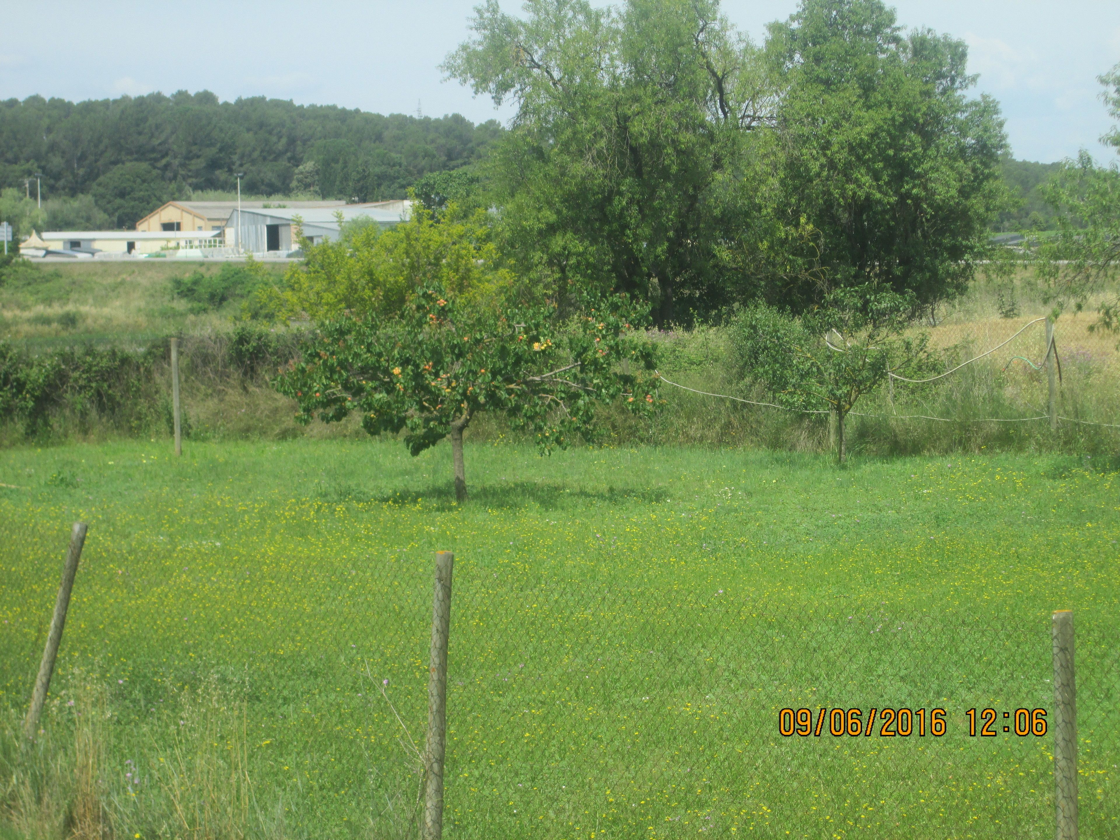 Photo - Hostal Avi Pep