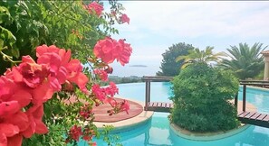Hồ bơi