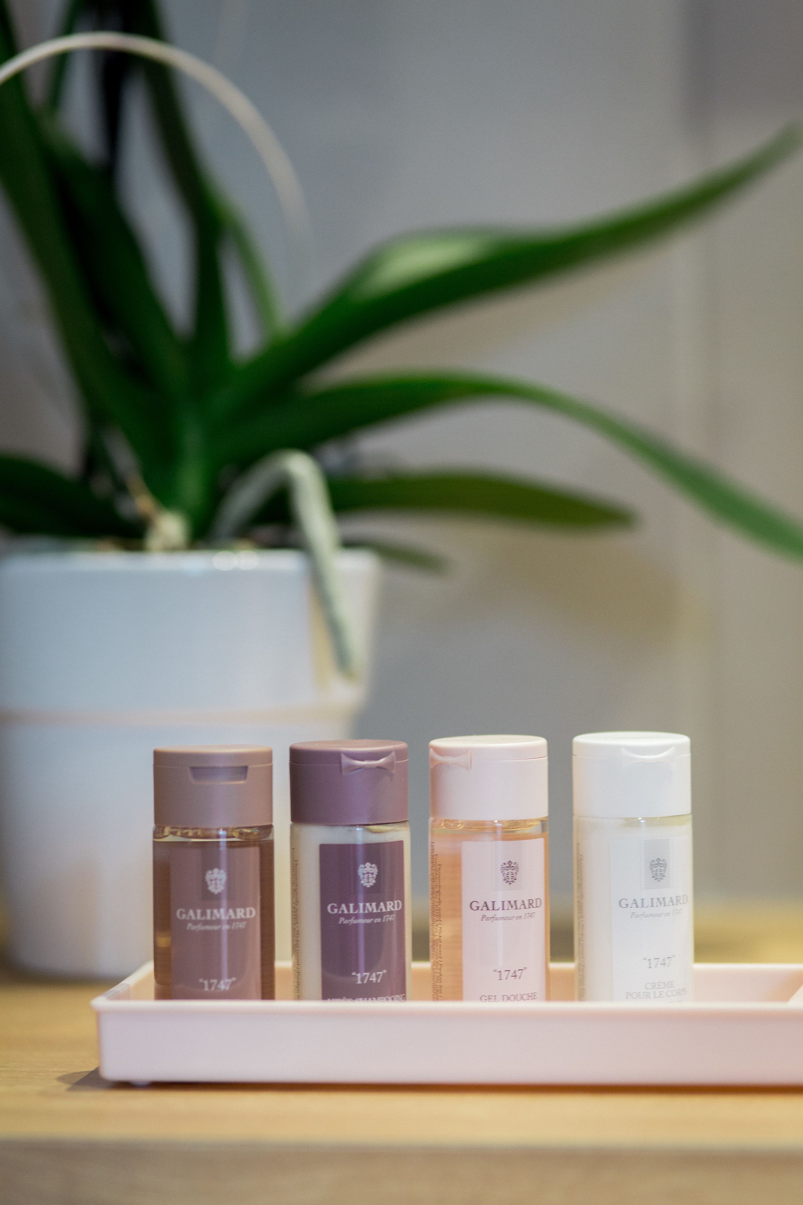 bathroom | shower, hair dryer, bathrobes, slippers