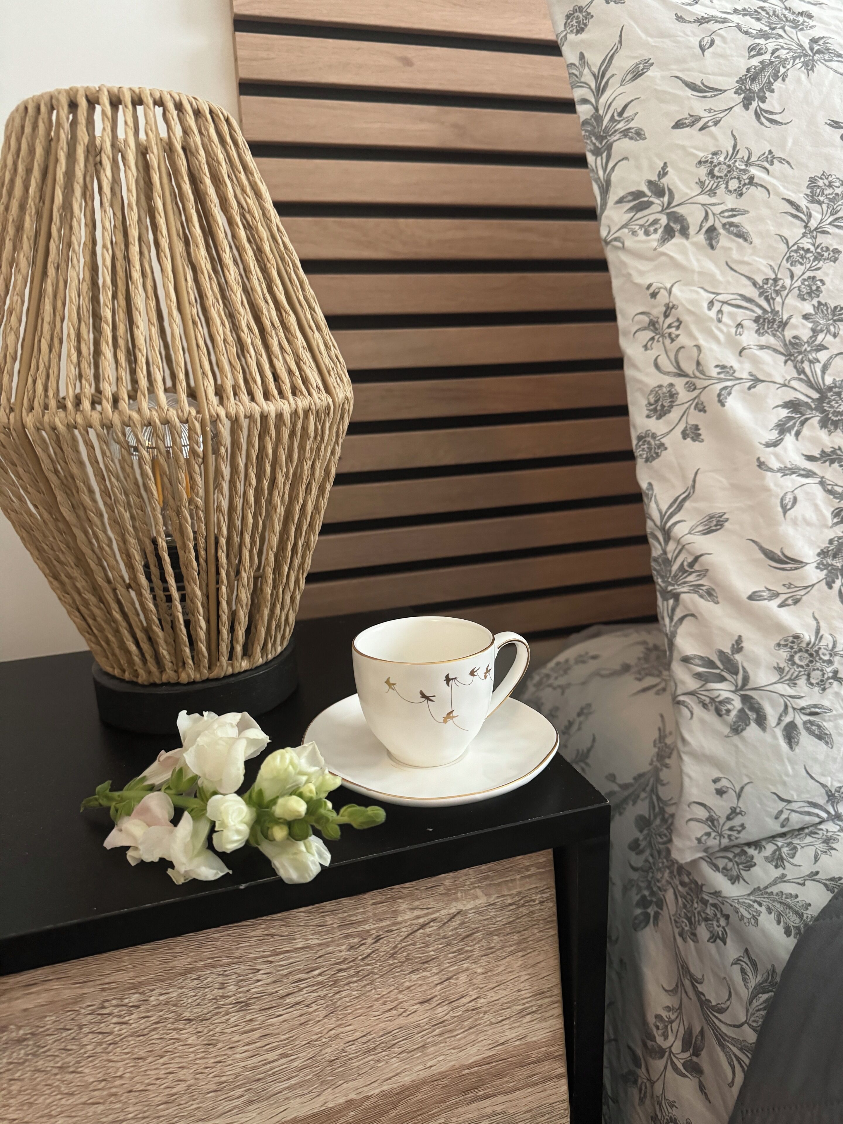 1 chambre, chambres insonorisées, fer et planche à repasser