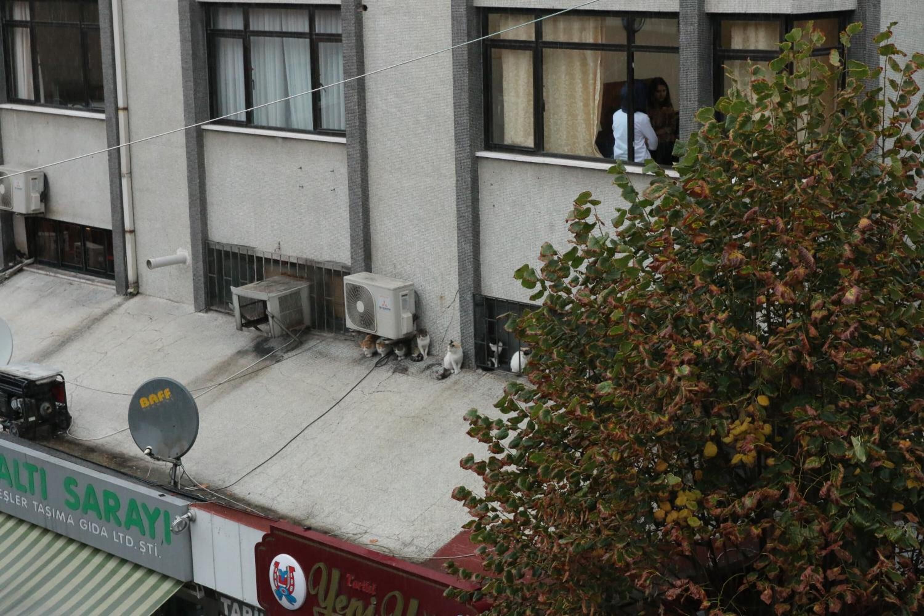 Un edificio con varias ventanas, algunas con cortinas, y una antena parabólica en el techo.