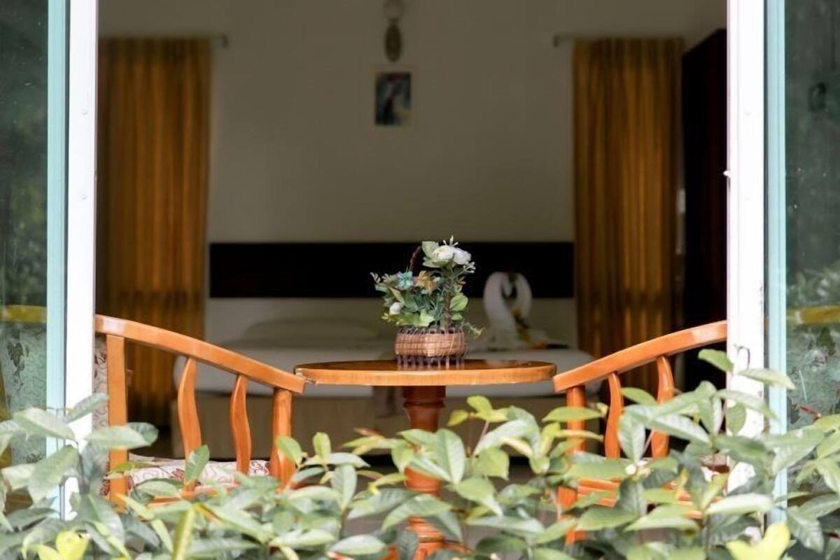 A room with a bed, a small table with a potted plant, and curtains.