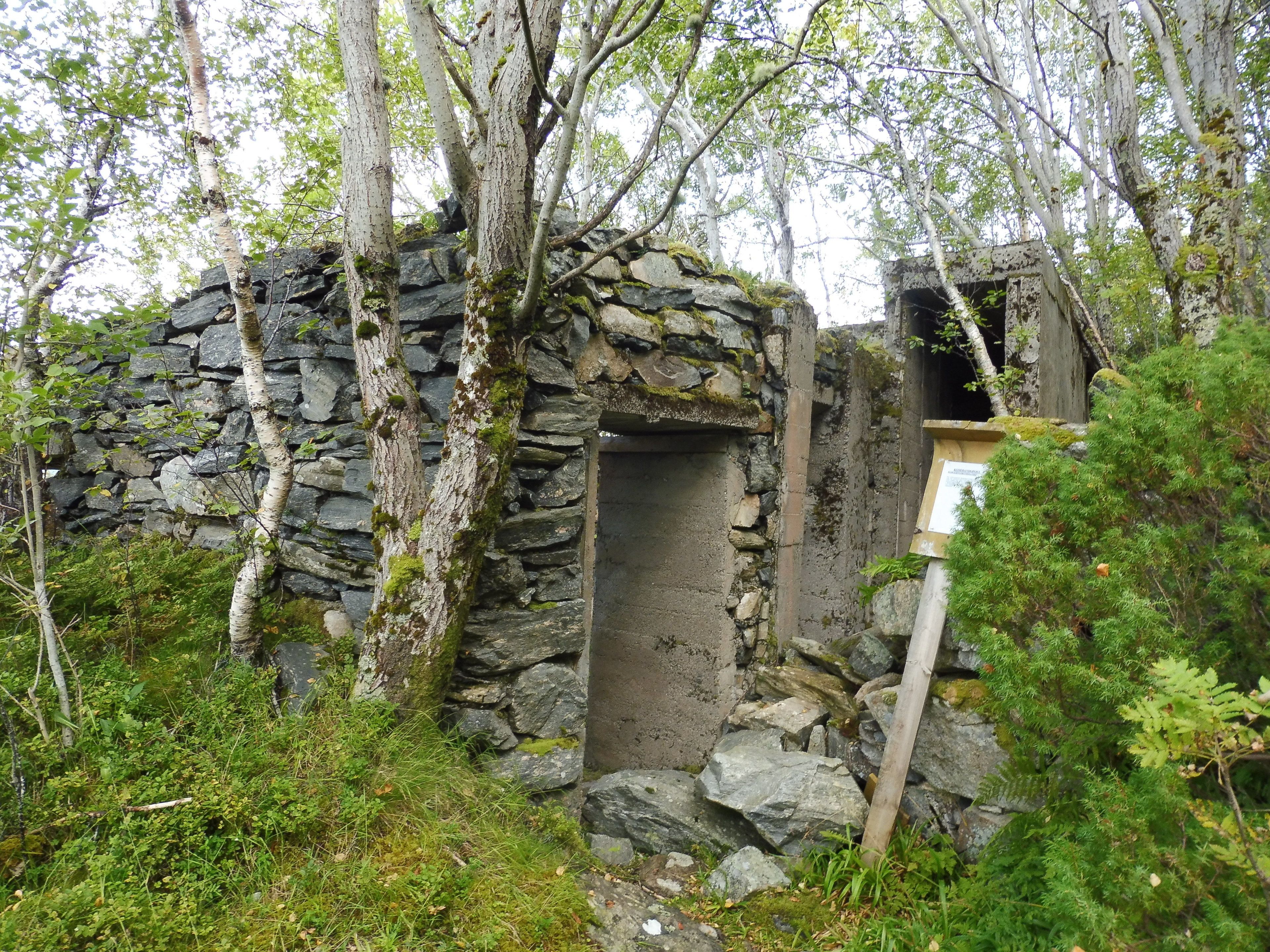 Uma estrutura de pedra com porta de madeira, rodeada por árvores e vegetação.