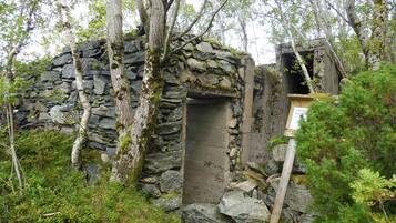 Uma estrutura de pedra com porta de madeira, rodeada por árvores e vegetação.