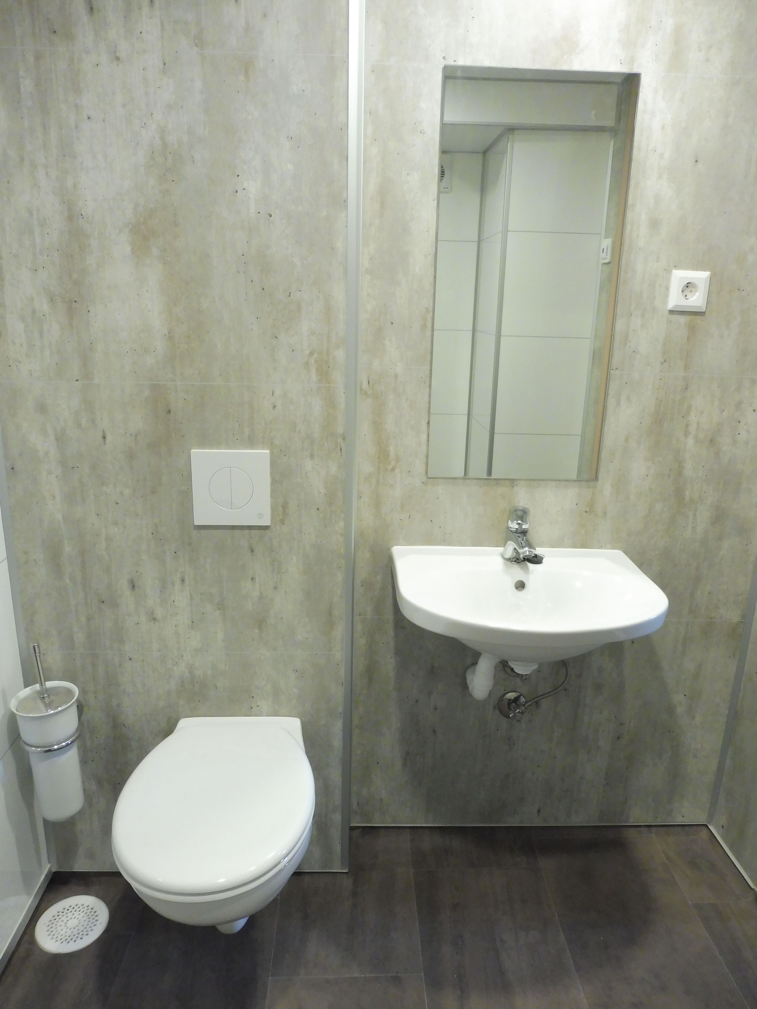 A bathroom with a toilet, a sink, and a mirror.