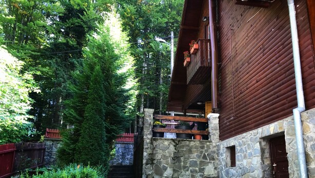 Eine Steintreppe führt zu einer Holzdielen-Terrasse mit Blumentöpfen.