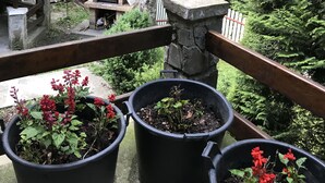 Ein Balkon mit Blumentöpfen und einem Stein-Barbecue.