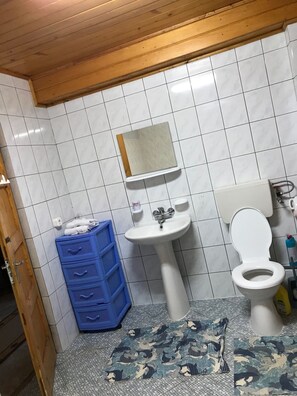 House, 5 Bedrooms | Bathroom - Casita del Bosque (Sinaia)