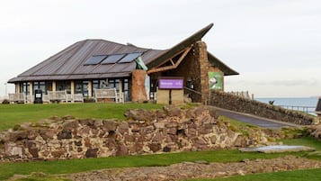 Apartment, Berbilang Katil | Pemandangan bandar dari hartanah