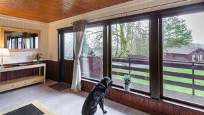 Quarto com teto de madeira, janelas amplas, um cão, um banco de madeira e um vaso de planta.