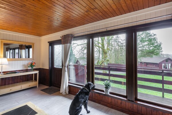 A room with wooden ceiling, large windows, a dog, a wooden bench, and a potted plant.