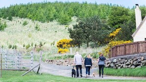 A rural setting with a stone wall, a wooden fence, and a house with a chimney. - Rowan Tree Cottage (Cupar)