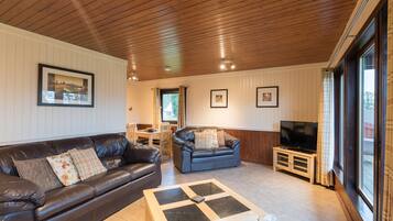 Cabin, 1 giường cỡ king | Phòng khách | TV, đầu đĩa DVD