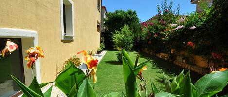 A courtyard with a well-maintained lawn, large green plants, and flowering plants along the building's exterior.