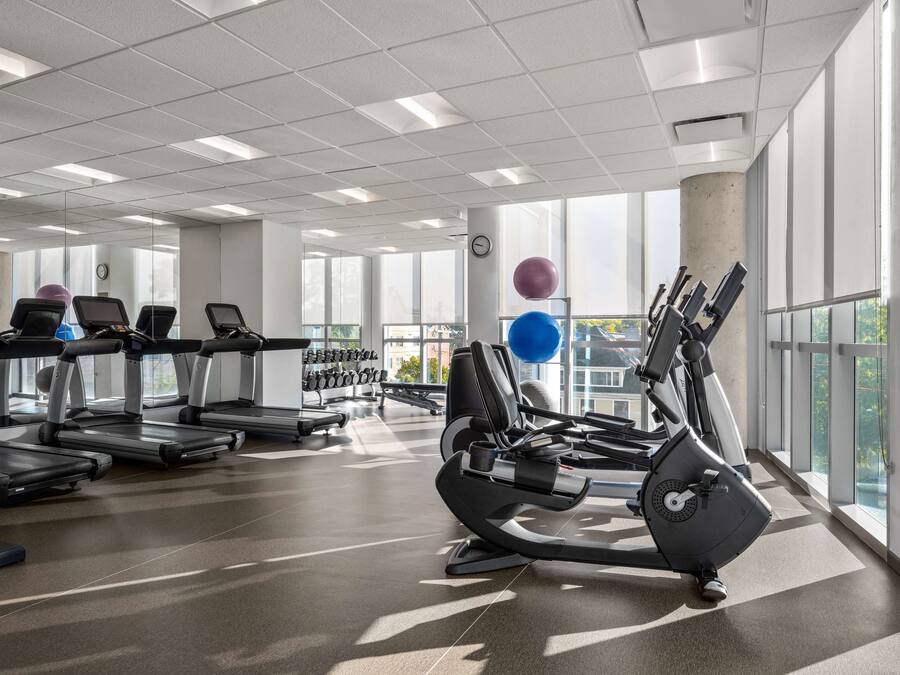 A gym with treadmills, elliptical machines, and free weights.
