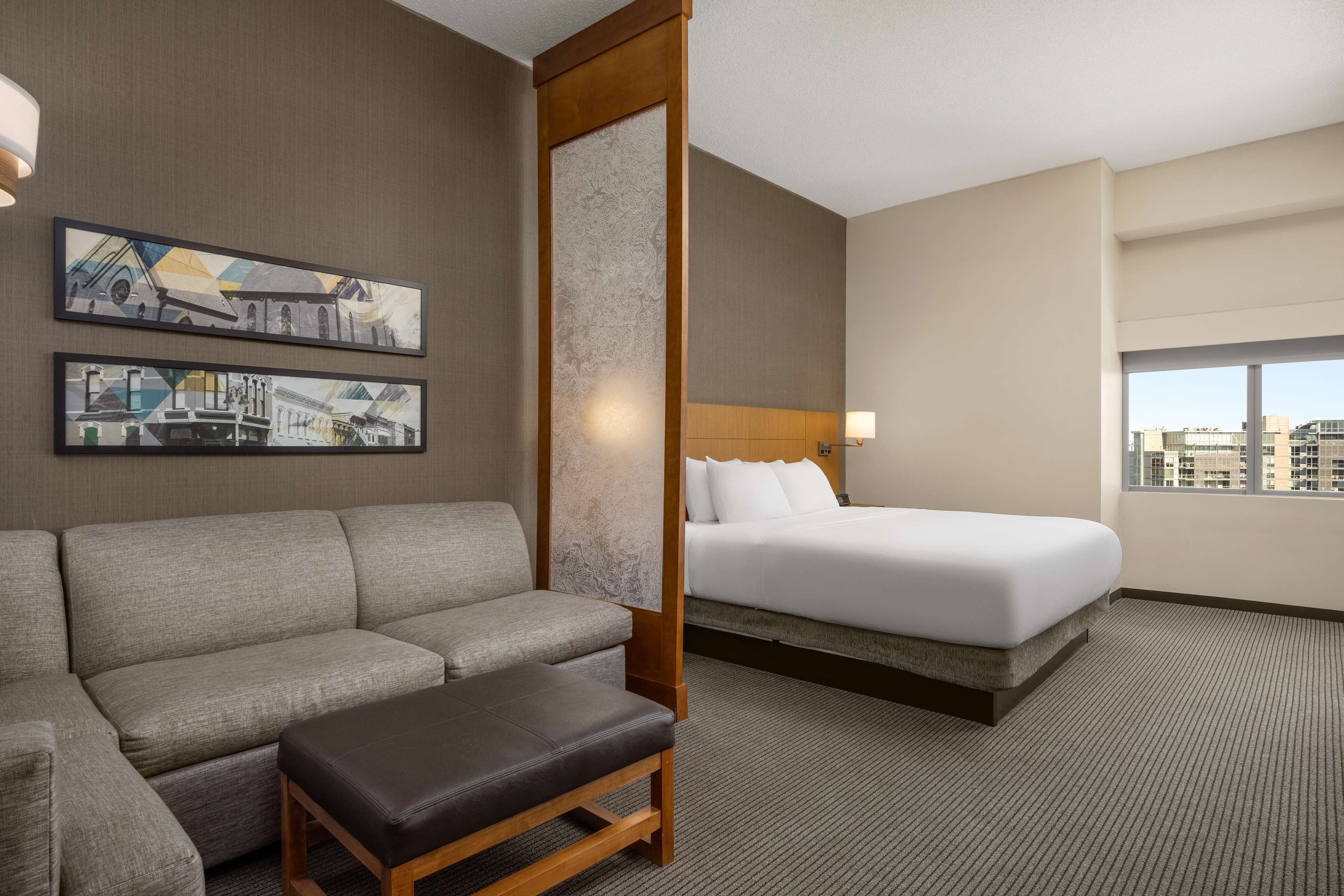 premium bedding, down duvets, desk, blackout curtains