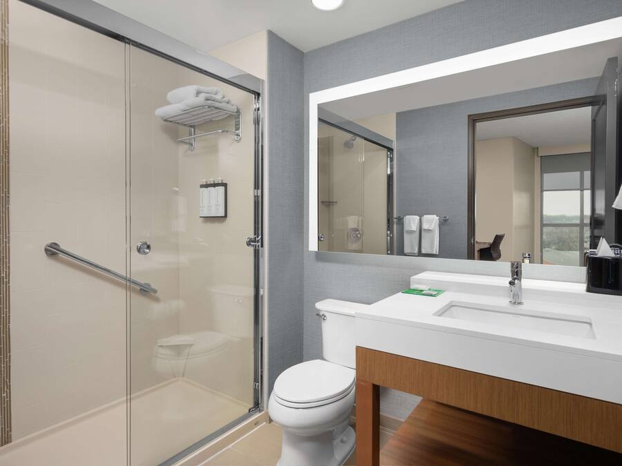 A modern bathroom with a glass shower enclosure, a white sink, and a large mirror.
