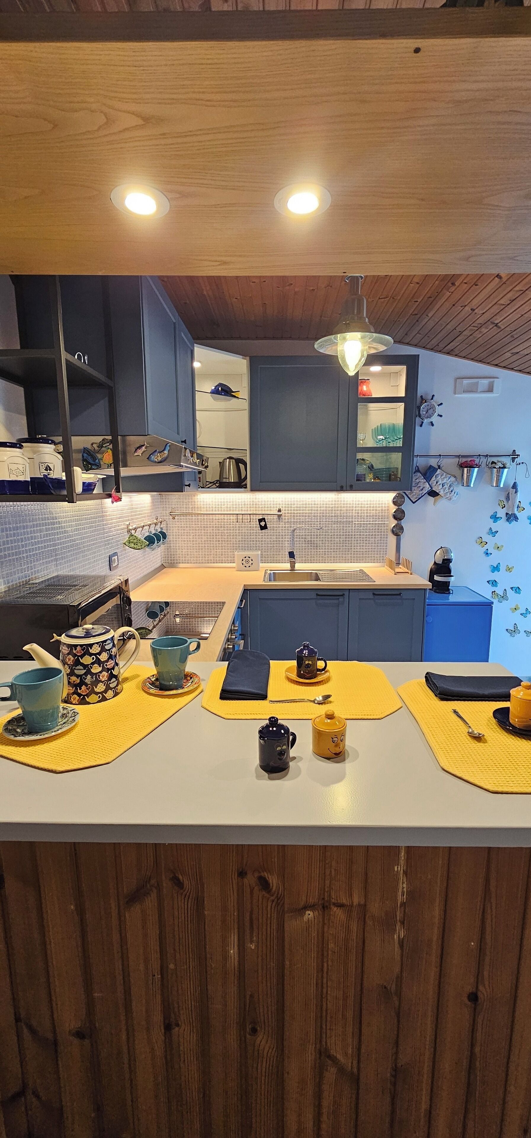 Apartamento, vista para o mar | Cozinha privada | Geladeira grande, micro-ondas, fogão, cooktop