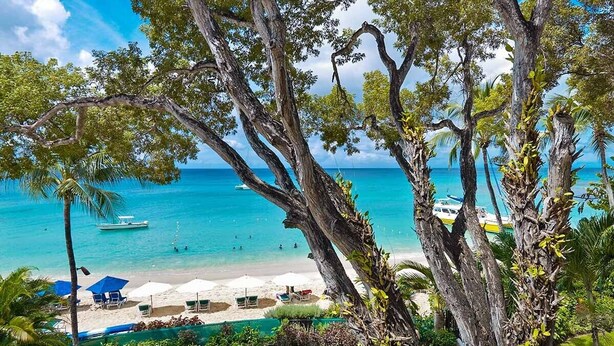 A beach with clear turquoise water, a boat, and umbrellas. - Coral Cove 11 by Altman (Paynes Bay)