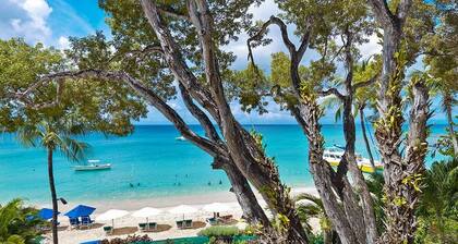 Coral Cove 11 by Altman