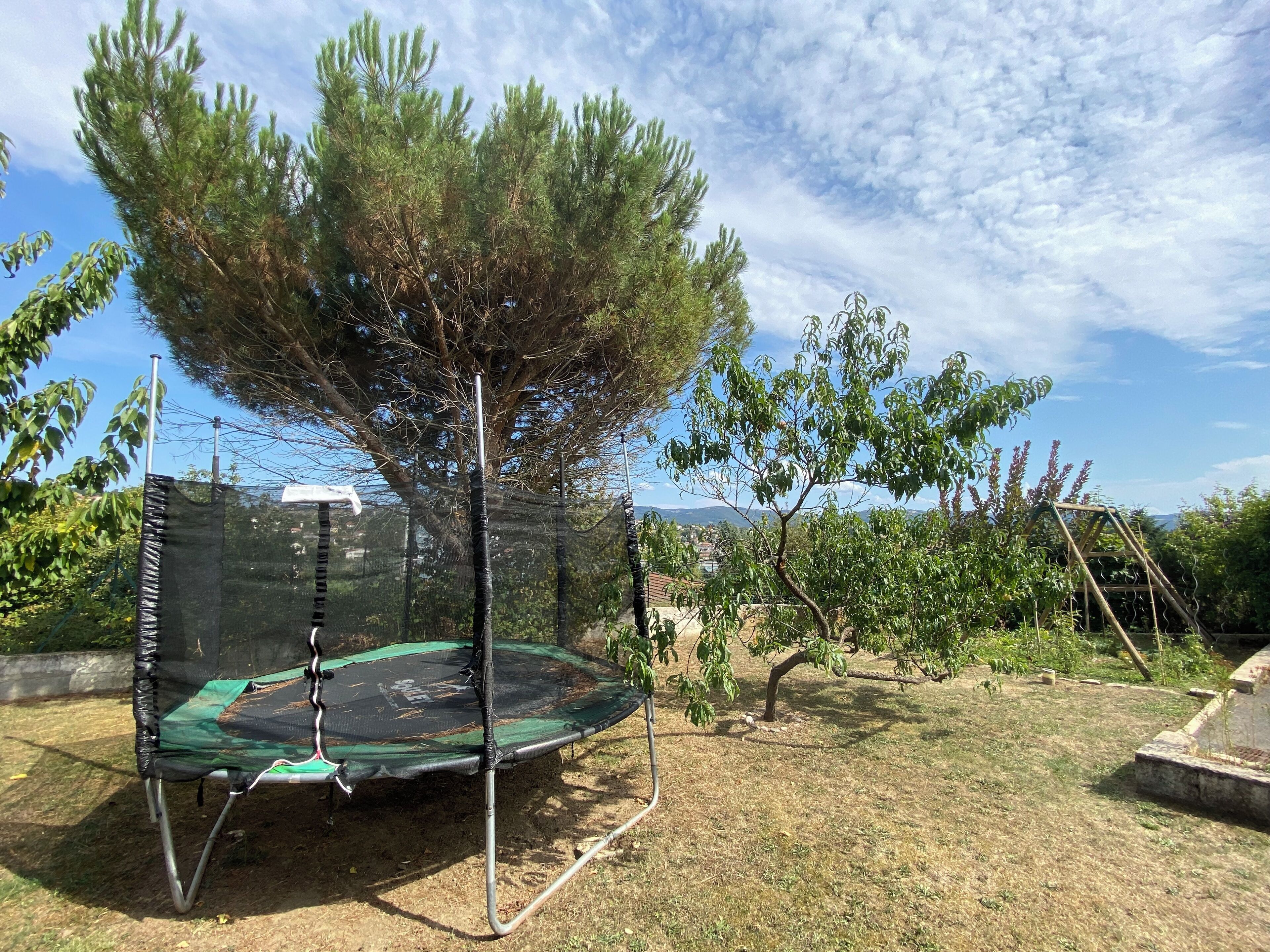 Un trampolín en un patio trasero con árboles y un columpio.