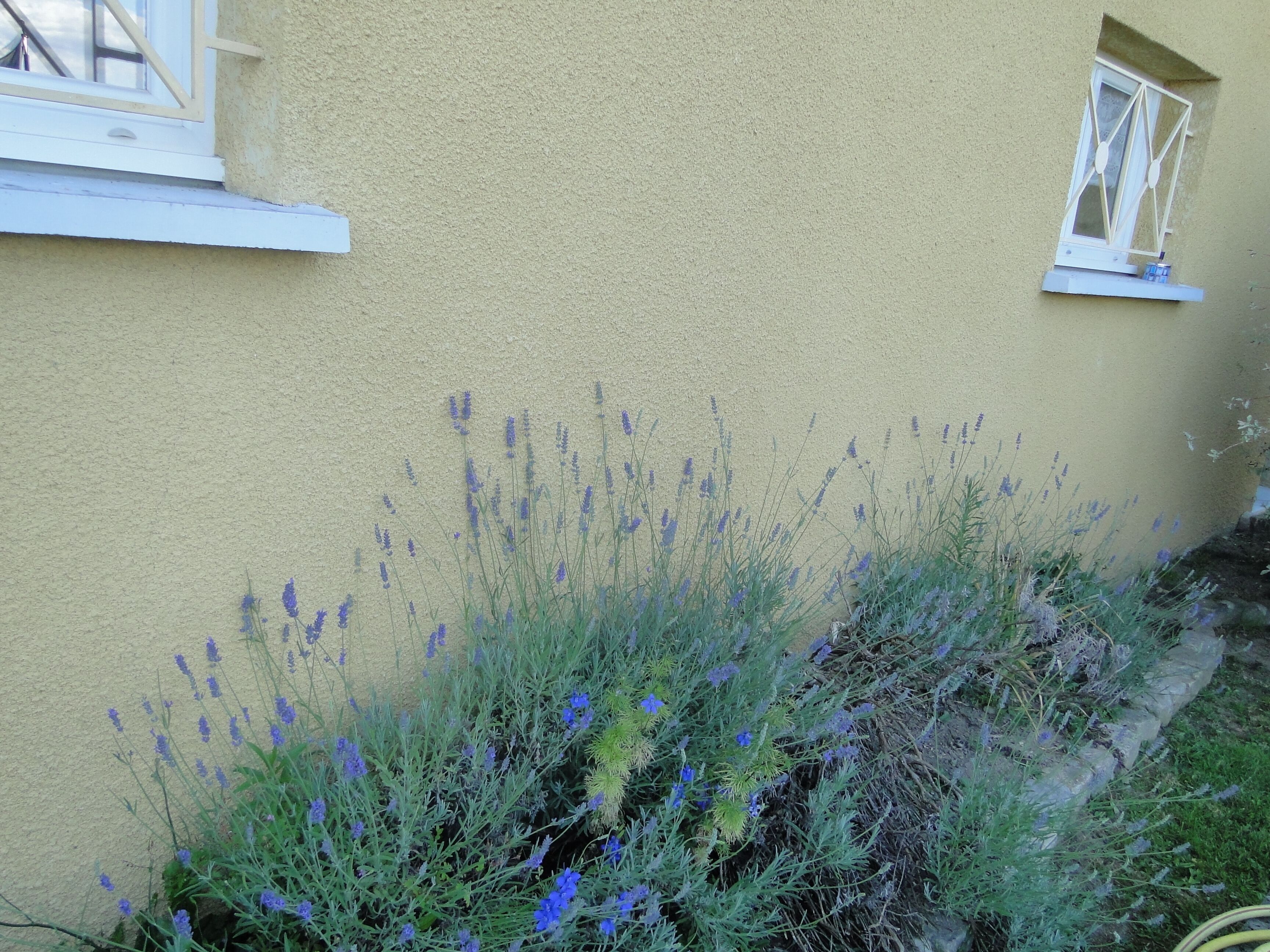 Foto - La Maison Provençale