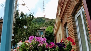 A building with a brick facade and a window with a flower box containing various flowers. - Old Town Mtatsminda (Tbilisi)