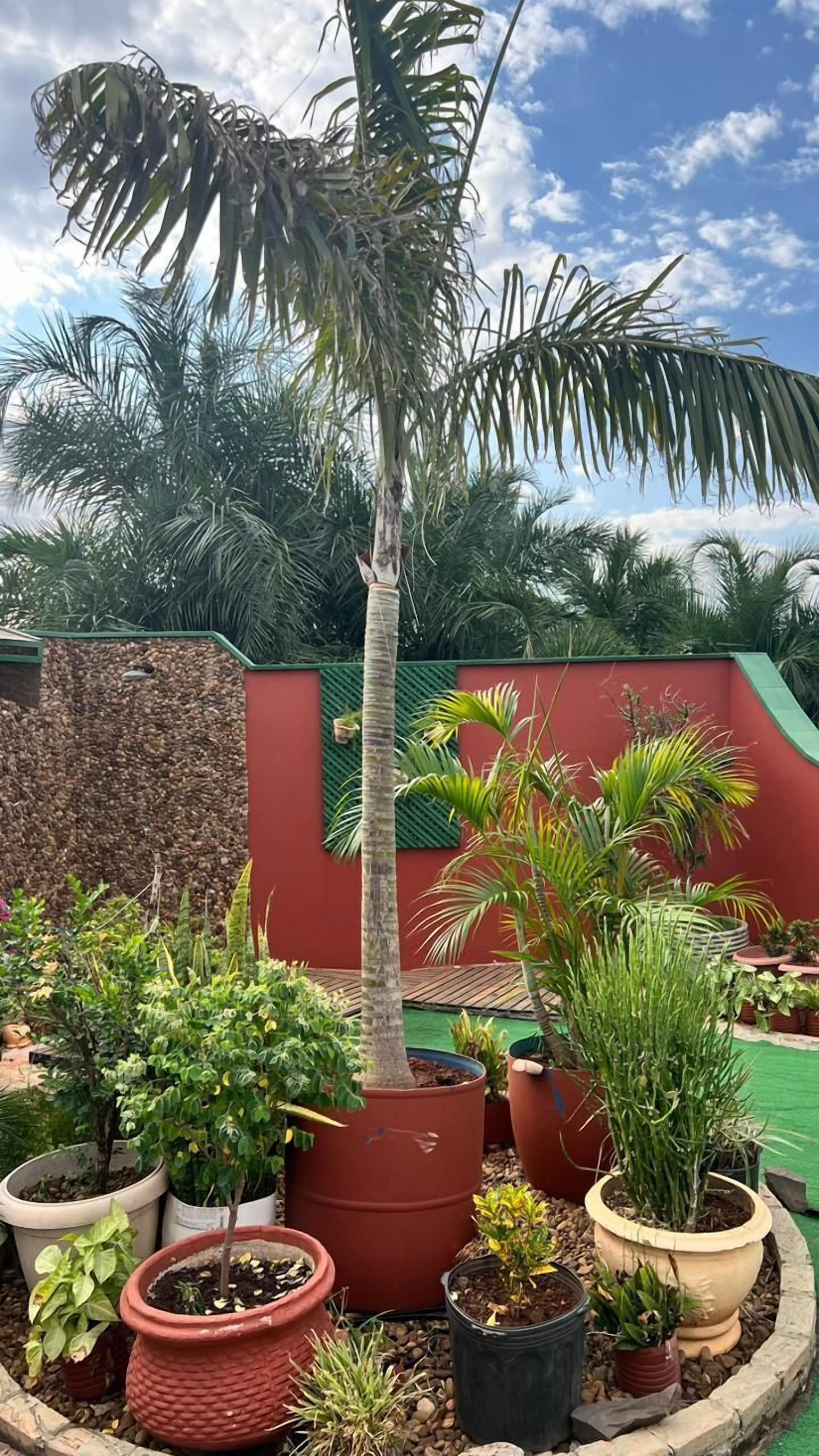 premium room | 1 bedroom, egyptian cotton sheets, premium bedding, minibar