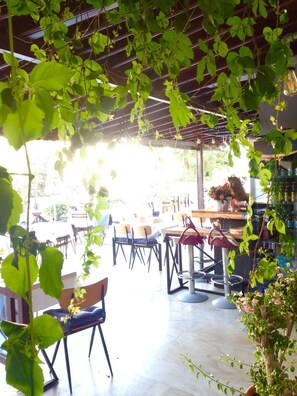 Bar (on property) - Hani Boutique Hotel (Marmaris)