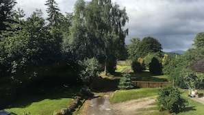 Paisaje rural con un sendero de tierra, abundante vegetación y una valla de madera.