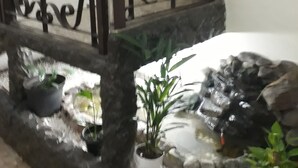 Un balcon agrémenté d’une rambarde en métal décorative, de plantes en pot et d’un petit élément d’eau ornemental.