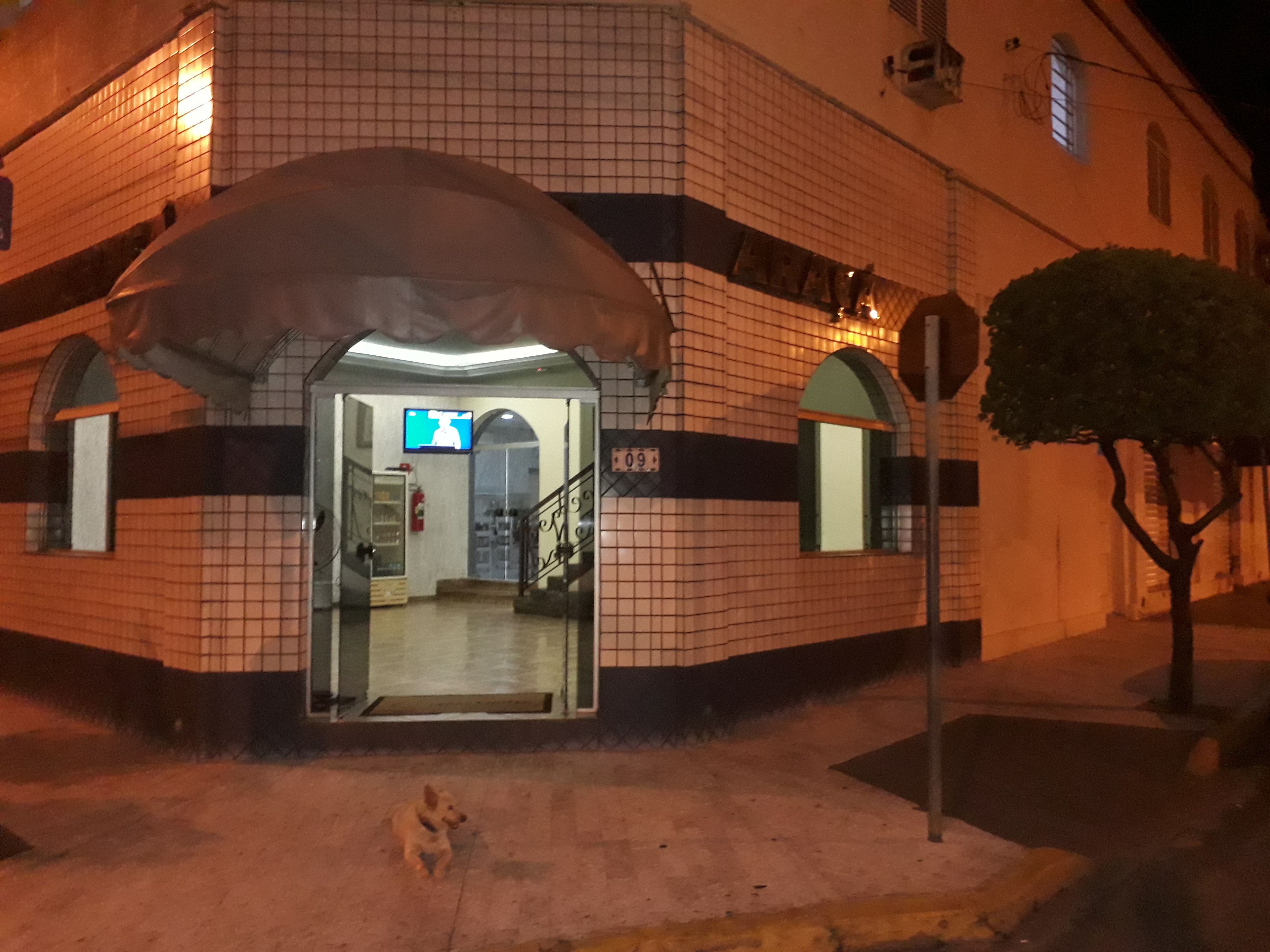 Foto - Araca Hotel