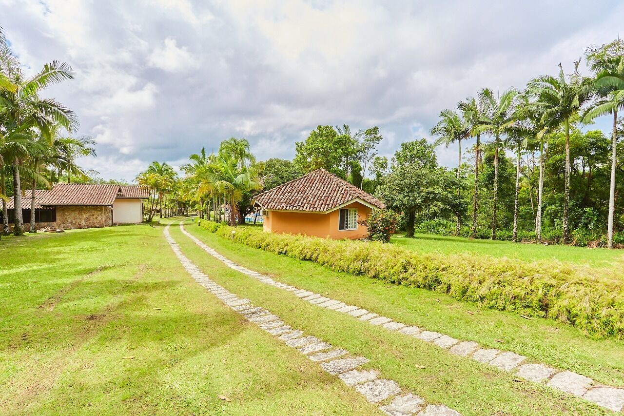 A pathway leading to a house with a tiled roof, surrounded by lush greenery and palm trees.