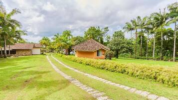 A pathway leading to a house with a tiled roof, surrounded by lush greenery and palm trees.