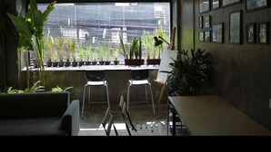 Ett modernt kontorsutrymme med ett stort fönster som vetter ut mot stadens silhuett, och som är inrett med krukväxter och inramade konstverk på väggarna.