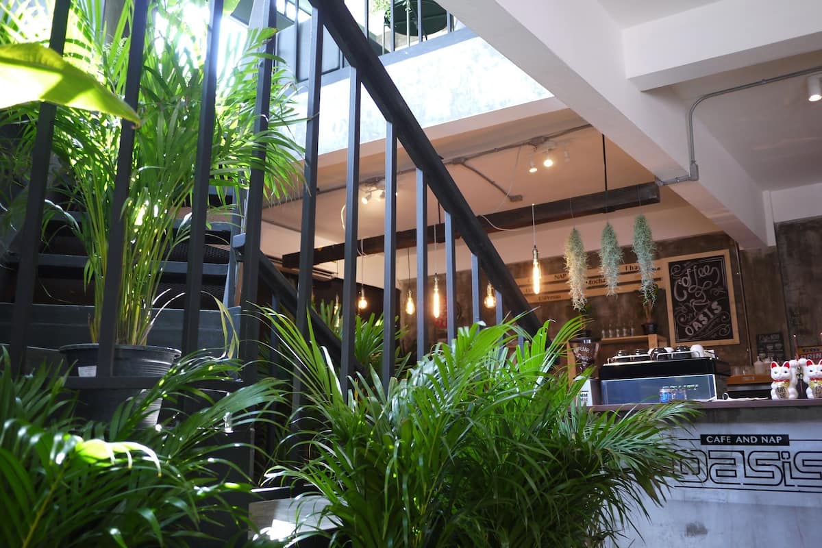 Ein modernes Interieur mit Treppe, Zimmerpflanzen und einer Theke mit der Aufschrift 'Cafe and Nap'.