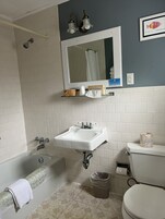 Bañera con ducha, secador de pelo, toallas